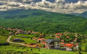 عارف: اولویت مهم دولت حمایت از بخش خصوصی است