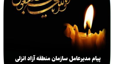 پیام مدیرعامل سازمان منطقه آزاد انزلی در پی اقدام تروریستی رژیم صهیونیستی: