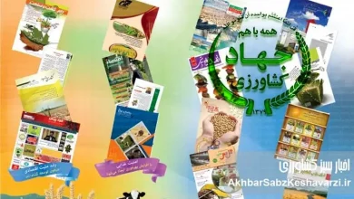 به گزارش پول و اعتبار به نقل از اخبار سبز کشاورزی: آقای رئیس جمهور سه دهه است رسانه‌های کشاورزی به عنوان بازوان اطلاع‌رسانی، نقد هدفمند و ارائه راهکار و طرح تجارب گذشتگان به مثابه «گذشته چراغ راه آینده است» و کمک حال کارشناسان و مدیران بخش‌های مختلف وزارتخانه در سراسر ایران بوده و هستند.