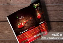 به گزاش پول و اعتبار به نقل از اخبار سبز کشاورزی؛ مجلات و روزنامه‌ها همواره بازوی توانمندی برای اطلاع‌رسانی در حوزه‌های مختلف اجتماعی، ادبی، هنری، اقتصادی و به‌ویژه کشاورزی بوده‌اند و نقش مؤثری در انعکاس نقاط قوت و ضعف موجود ایفا کرده‌اند.