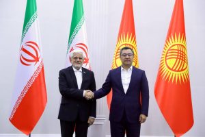 همبستگی کشورهای منطقه به بالارفتن ضریب امنیت در مقابل تهدیدات خارجی کمک می‌کند – جمهورآنلاین