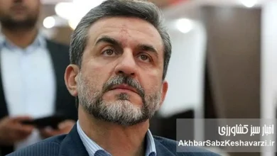 به گزارش پول و اعتبار به نقل از اخبار سبز کشاورزی؛  با توجه به اصول و مواد حقوقی که تصریح دارد بر اینکه یک فرد دولتی، شغل دیگری از جمله بازرگانی، عضو هیئت مدیره و... را نمی‌تواند در بخش خصوصی  داشته باشد، شاپور علایی‌مقدم ظاهرا در شرکت آتی صبا میهن، هم به عنوان نماینده شرکت و هم به عنوان عضو هیئت مدیره یا نایب رئیس هیئت مدیره سمت رسمی و دخالت در امور مالی  دارد.