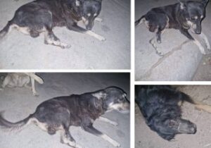 شهر زیرزمینی جادوگران در دیار شعر و گل و بلبل