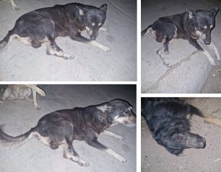 شهر زیرزمینی جادوگران در دیار شعر و گل و بلبل