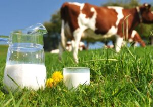 یک‌دهه سلامت صنعت دام و طیور کشور در سایه نظارت علمی دامپزشکی