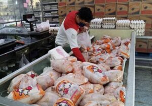 تزریق مرغ منجمد به بازار با نرخ مصوب ۸۶ هزار تومان – جمهورآنلاین