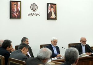 تأکید بر ارتباط نزدیک دولت و نهادهای عمومی با وجود هدف مشترک