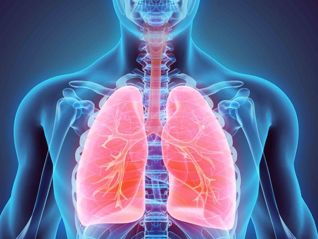 برگزاری کنگره ملی آسم و بیماری‌های شغلی ریه در منطقه آزاد اروند