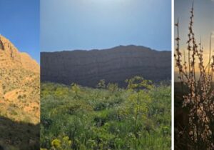  امان نامه ای برای دو زیبای کاملا طبیعی فارس