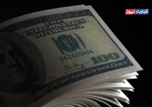 حذف ارز چند نرخی منجر به رقابت‌پذیری در صادرات و رونق تولید می‌شود