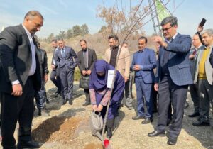 رئیس سازمان حفاظت محیط‌زیست به پویش ملی درختکاری «سرو ایران» پیوست