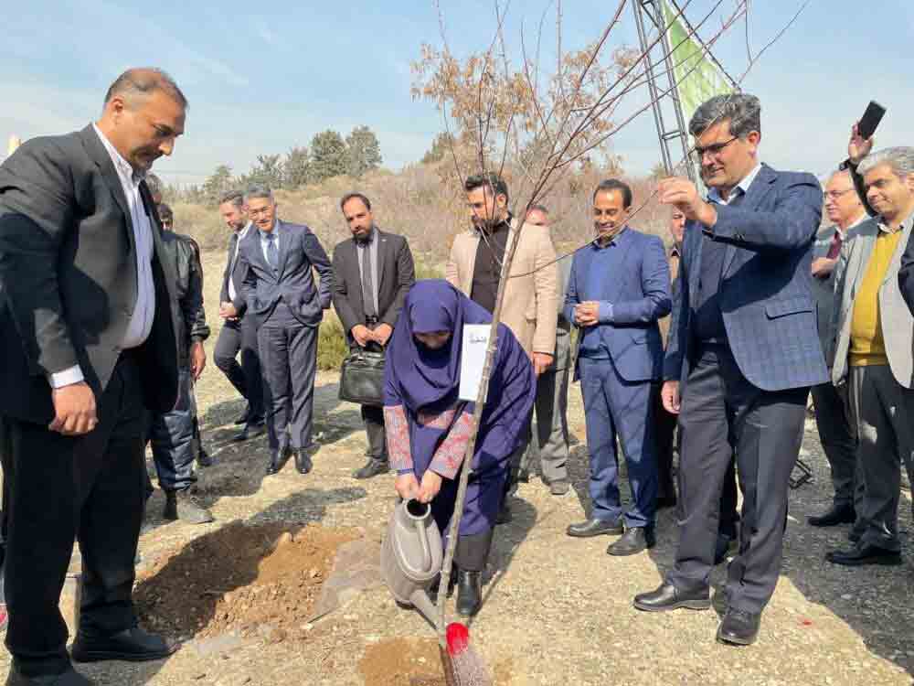 رئیس سازمان حفاظت محیط‌زیست به پویش ملی درختکاری «سرو ایران» پیوست
