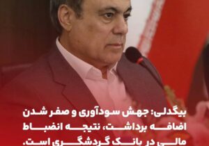 بیگدلی: جهش سودآوری، نتیجه انضباط مالی در بانک گردشگری است.