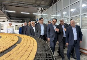 وظیفه دولت و تمامی دستگاه‌ها حمایت همه جانبه از تولید است