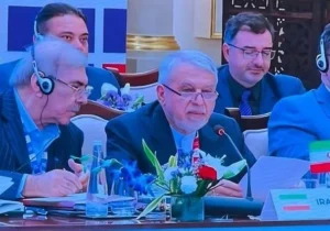 صالحی‌امیری: جهان امروز بیش از اقتصادهای تاب‌آور، به جوامع تاب‌آور نیاز دارد