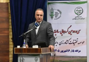 شکسته شدن رکورد تولید گندم در ایران
